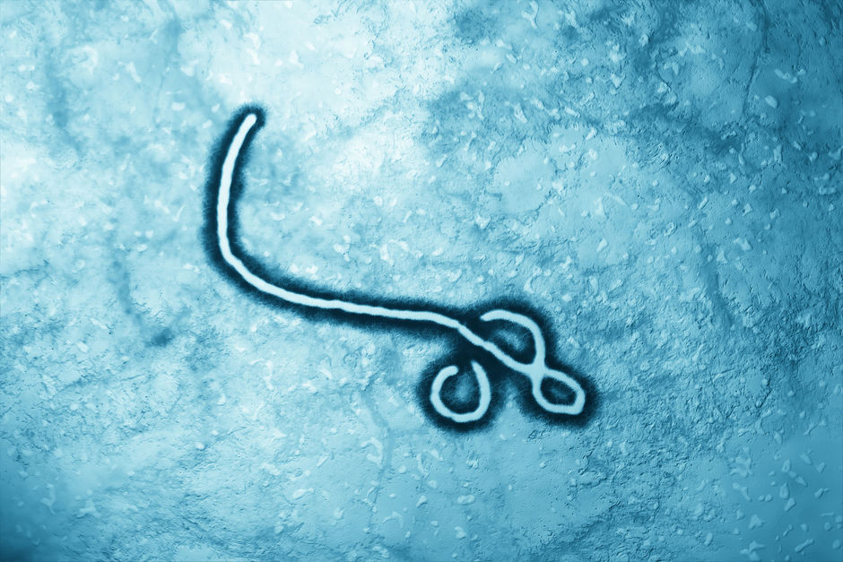 Ebola capable de survivre deux ans dans le sperme