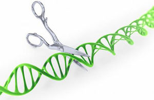 Embryons humains génétiquement corrigés : progrès ou dérive de la science ?