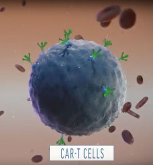 Cancérologie: les cellules CAR-T confirment leur spectaculaire percée !