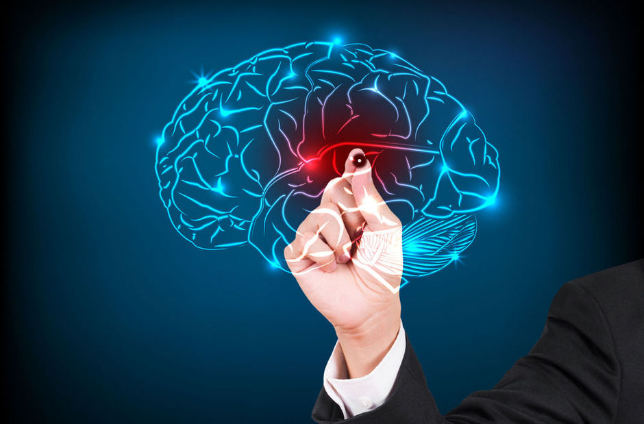 Création d'un cerveau virtuel pour mieux comprendre l'épilepsie